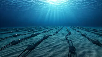 Moscow's Secret Undersea Surveillance: The Harmony Network