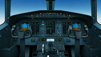 IndiGo's Flight Operations & Pilot Shortage: Key Insights