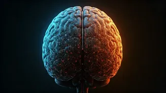 Want Success? Boost Your Brain With These Tips.