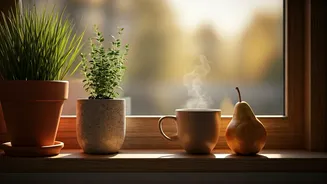 Seasonal Living Is Winning Social Media