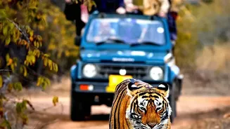 Nature-Focused Holidays In Assam Are Gaining Fresh Interest
