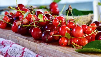 Melhora o sono: nutricionista indica fruta para consumir antes de dormir