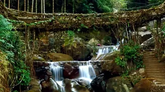 Explore Natural Sohra Waterfalls And Living Root Bridges In Meghalaya Today