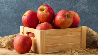 How Valley Cooperatives Streamline Apple Cold-Storage Transport To Prevent Post-Harvest Damage