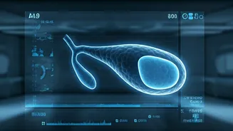 AI Breakthrough: PGIMER App Detects Gallbladder Cancer from Ultrasound with Over 90% Accuracy