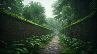 Goa In The Rain Has A New Fanbase