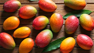Beyond Alphonso: India's Amazing Mango Diversity