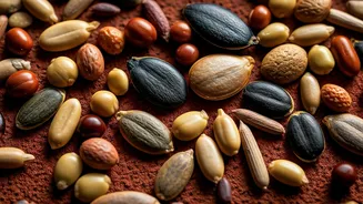 Attend Plant Enthusiast Seed Swapping Pop Ups For Cleaner Home Air