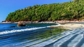 Goa And Varkala Offer Perfect Post Monsoon Coastal Workspaces For Remote Professionals