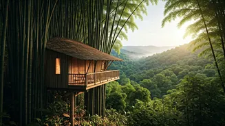 Stay In Beautiful Deep Valley Bamboo Treehouses Across Wayanad Now