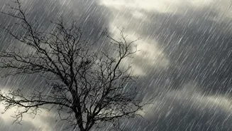 Rainfall Alerts Before Your Trip: Which Information Should You Check First?