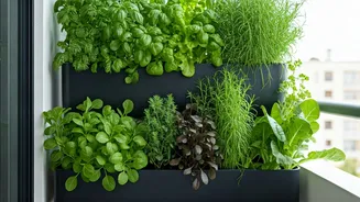 Home Gardening Is Getting More Space-Smart Now