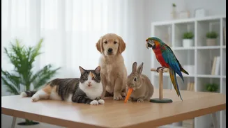 Pet Registration Beyond Dogs may help cities plan services for more companion animals