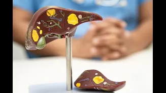 The Foods You Eat Every Day Could Be Damaging Your Liver