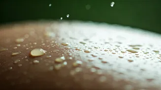 Why Everyone Needs This Easy Monsoon Skincare Routine Today