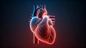 5 Expert Tips to Boost Circulation & Vascular Health