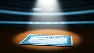 Indigo's Stock Performance: Examining the Aftermath of a Fine