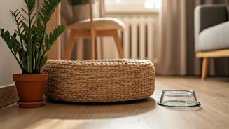 Greener Homes Are Becoming Pet-Friendly Reset Zones