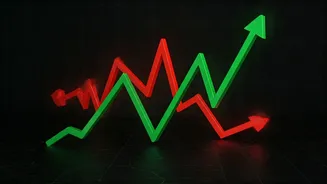 India's Market Movers: Top Gainers and Losers