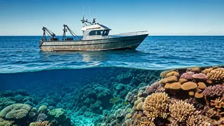 India and Israel Forge Fisheries Partnership