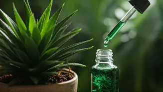 This Liquid Seaweed Secret Keeps Humidity From Killing Plants