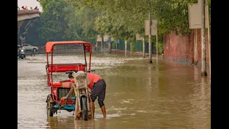 Punjab Allocates Funds for Flood Preparedness Amid Seasonal Risks