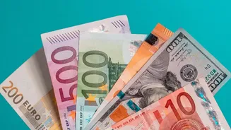 Where To Allocate 6 Months Of Expenses For Instant Fee Free Emergency Access