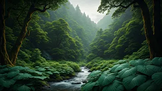 India's Best Monsoon Camping Spots Revealed