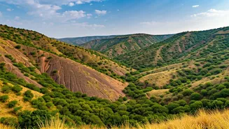 A Deep Dive into the Aravalli Hills Case: SC's Warnings