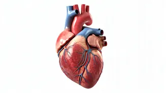 Understanding Supraventricular Tachycardia (SVT) & Exercise