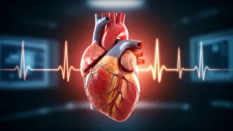 Heart Attack vs. Cardiac Arrest: Decoding the Crucial Differences and Life-Saving Actions