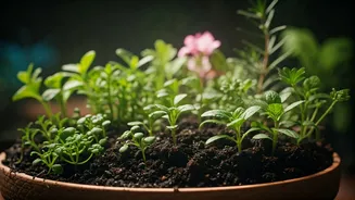 Why Minute Garden Habits Deliver Massive Mental Health Benefits Daily