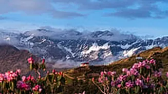 Where Is Chopta Valley? Explore India’s Mini Switzerland