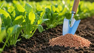 The Deceptive Draw of 10-10-10 Fertilizer: Why It May Harm Your Garden