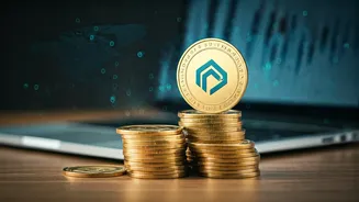 Indian Business Buzz: Funding Rounds, Tech Updates, & Market Trends