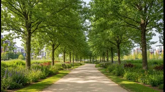 Green Exercise Works when Access Is Practical, Not Picturesque
