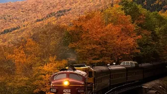 Special Trains For October And November: How To Plan Ahead