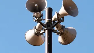 How Low Frequency Sound Waves Deter Insects On Organic Urban Farms