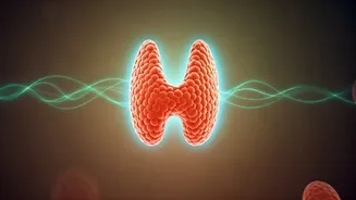 Yoga for Thyroid Health: Unveiling Evidence, Debunking Myths, and Setting Realistic Goals