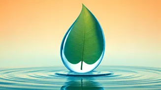 Beat the Heat: Essential Summer Safety Guide for Children and Pregnant Women in India