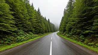Fresh Rain Makes Short Trips Feel Tempting