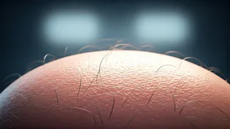 Related Stories banner