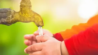 Nasal Congestion Home Remedies: Why Saline Rinses Must Use Safe Water