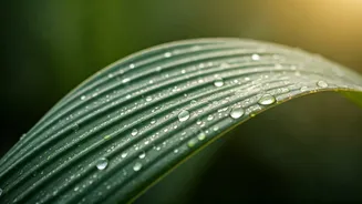 Monsoon Skincare Mistakes Dermatologists Want You To Avoid