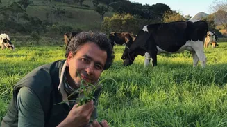 Ator da Globo, Marcos Palmeira também é dono de uma fazenda que produz o próprio queijo e chocolate