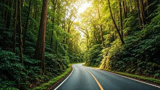 Plan A Konkan Road Trip For Perfect Lush Green Cliffs
