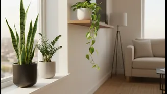 Green Up Your Apartment Without Extra Effort