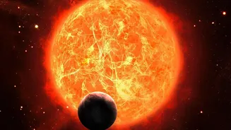 What Webb Telescope Spectrum Findings Show About Water Vapour On Exoplanets