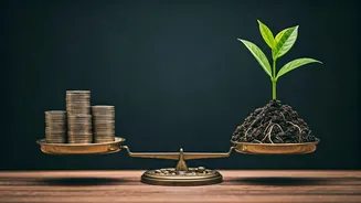 India's Young Investors Want Better Balance