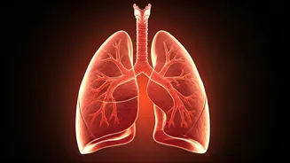 Cleanse Your Lungs: Natural Breathing Remedies